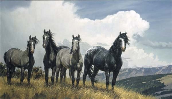 photo, painting for sale, Amazing Grays IV by Nancy Glazier, 4 horses standing on a hill